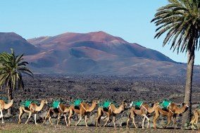 Single Parents on Holiday - Lanzarote about Image 2