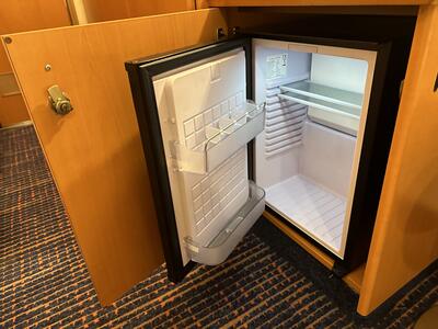 Carnival-Conquest-mini-fridge