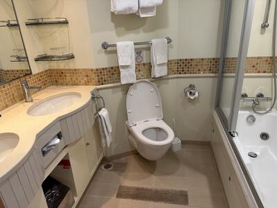 carnival-vista-junior-suite-bathroom