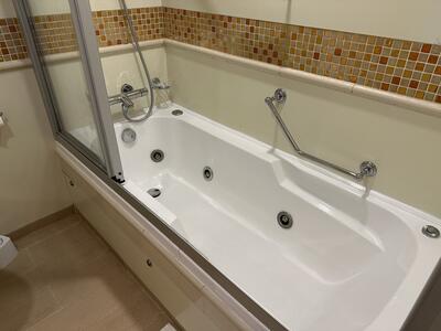 carnival-vista-shower-tub-junior-suite