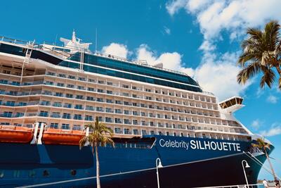 Celebrity Silhouette