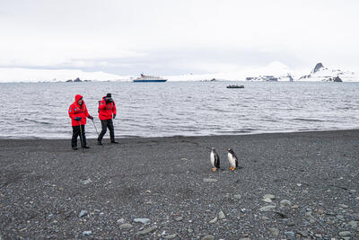 two men watching penguins on a beach in Antarctica