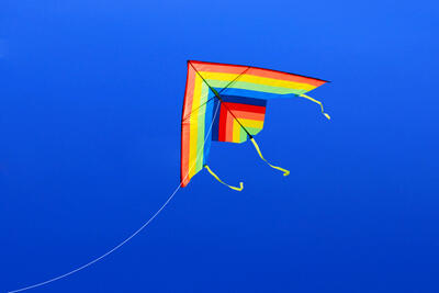 Kites