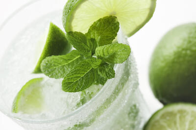 mojito-stock