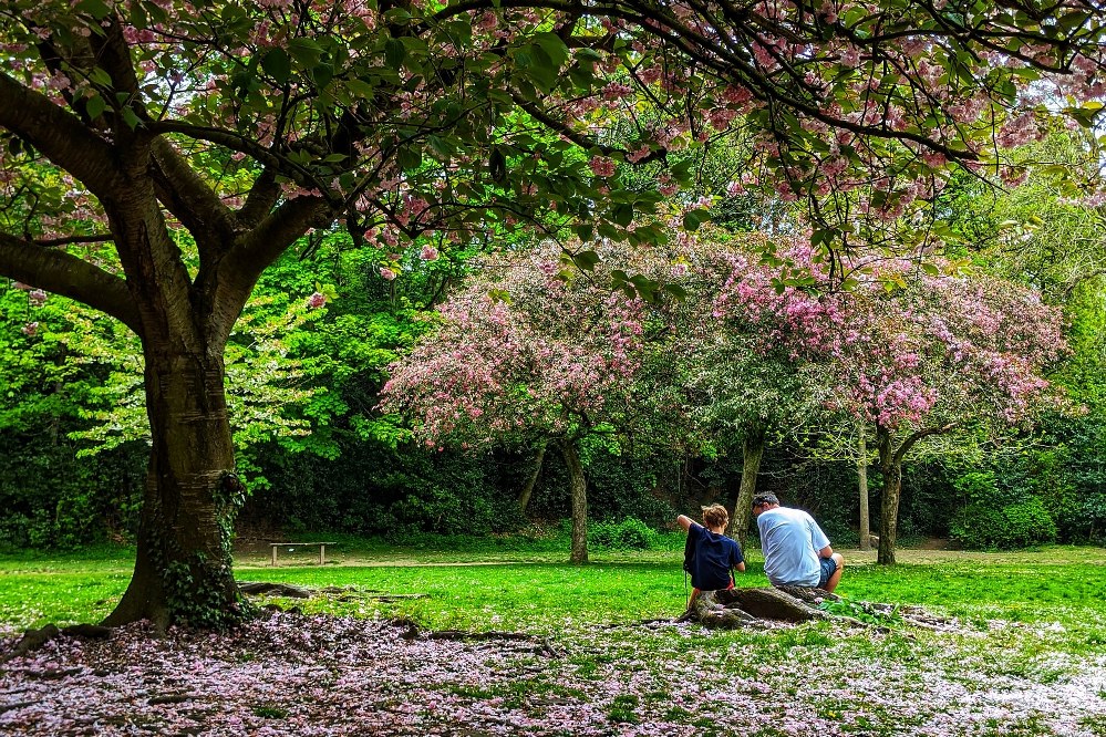 dad and child in Sheffield park