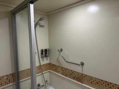 shower-junior-suite-carnival-vista