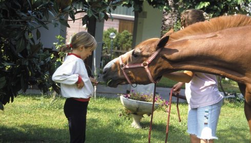 horse riding at Gelindo