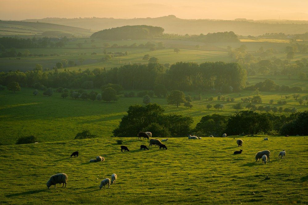 Tees Valley and North Yorkshire countryside