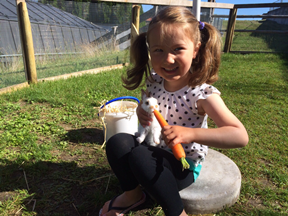 Single Parents on Holiday - Alpendorf programme Image 1