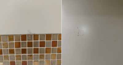 carnival-vista-bathroom-wear-and-tear